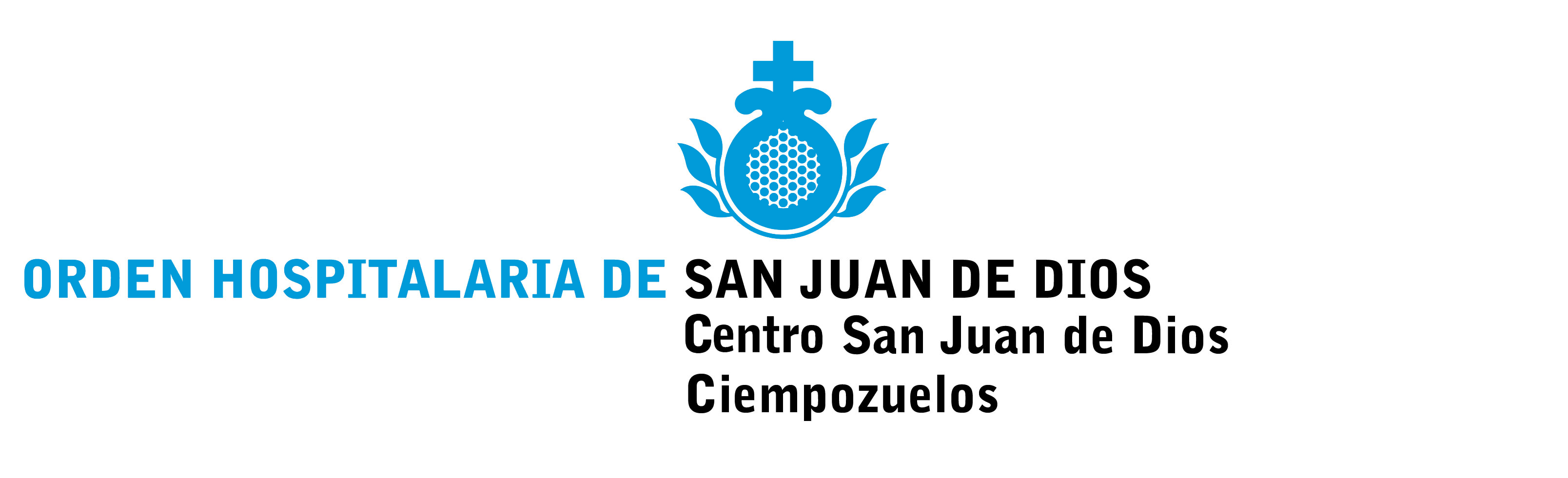 Logotipo de la organización