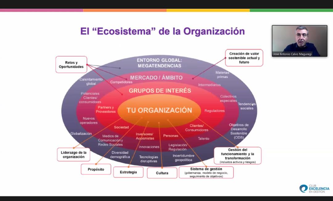El ecosistema de la organización