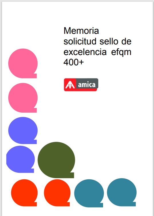 AMICA 13