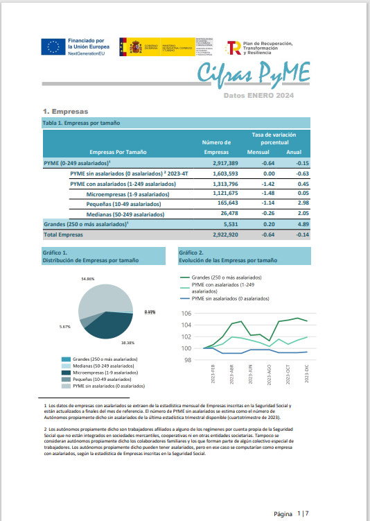 Cifras Pymes 2024