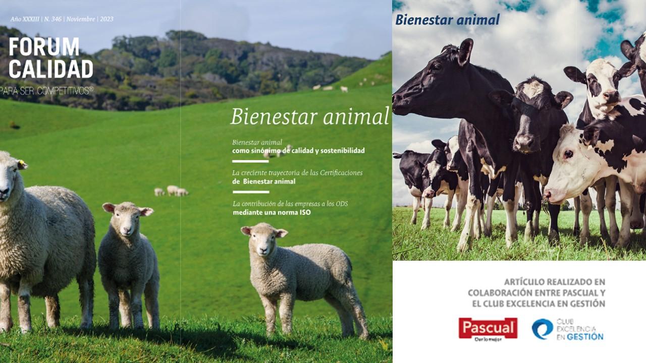 FC 346_portada