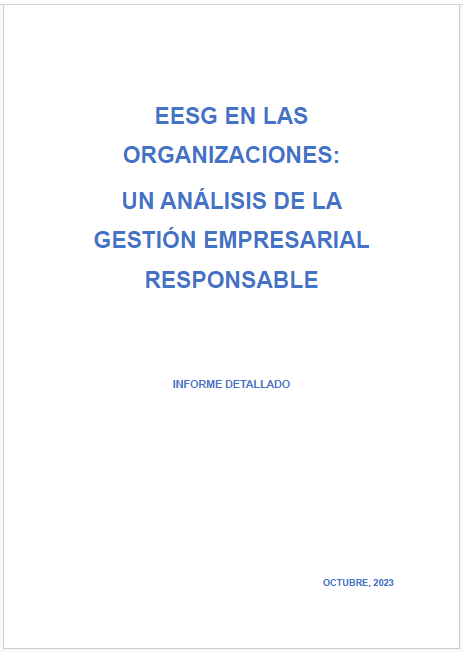 Imagen 3. Informe detallado EESG