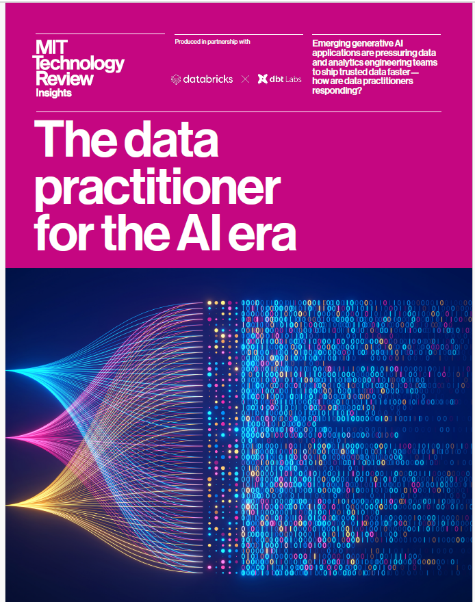 The data practitioner
