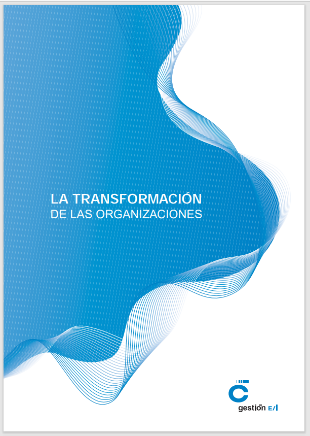 Transformación de las orgs 2009