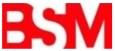 LOGOTIPO BSM