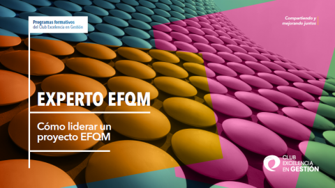 Experto EFQM