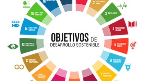 imagen ODS.png