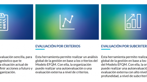 Niveles_Plataforma_de_Evaluación_EFQM_Digital