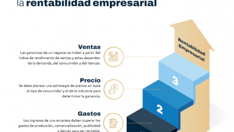 Rentabilidad empresarial