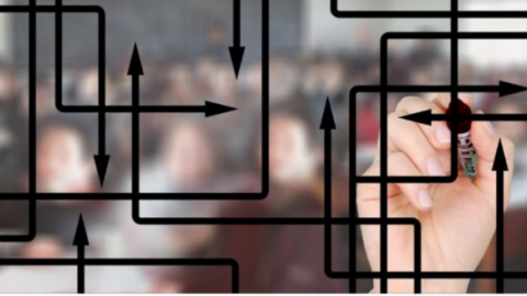 Inteligencia Colectiva