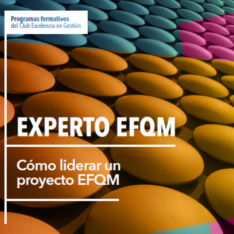 Experto EFQM