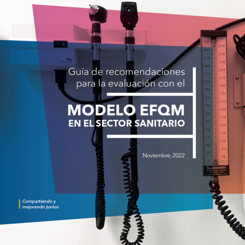 Portada Guía Recomendaciones para Evaluacion- Sector Sanitario