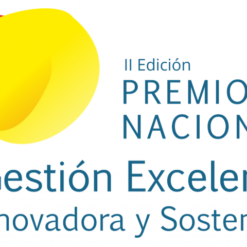 II edición Premio GEIS