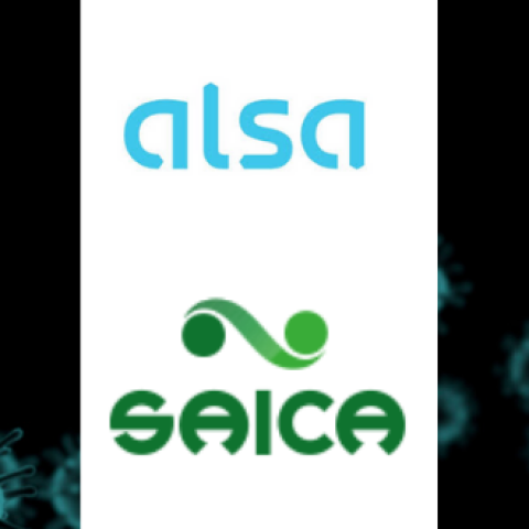 Alsa Saica